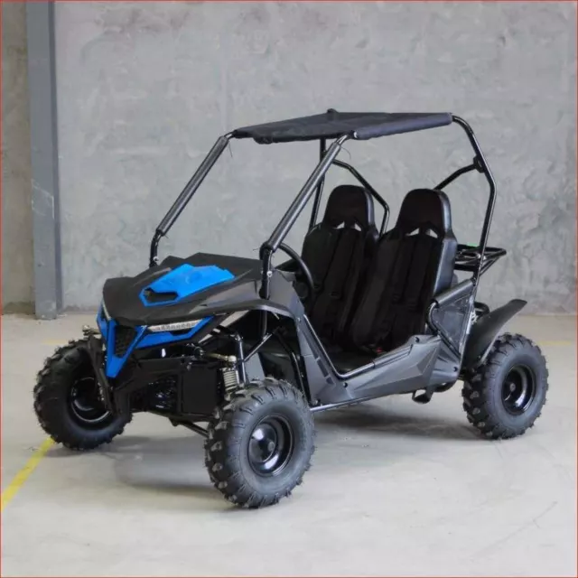 ZX-K3 - Two seater Off road Buggy Go kart Kids 210cc Premium Polaris Canam Style