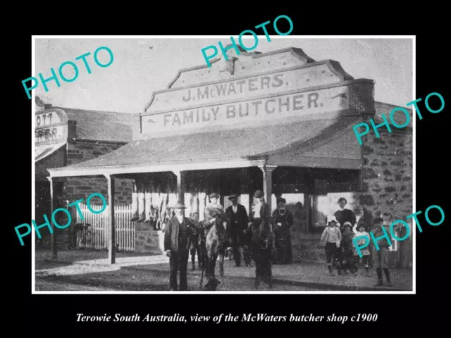 OLD LARGE HISTORIC PHOTO OF TEROWIE SA VIEW OF THE McWATERS BUTCHER SHOP c1900