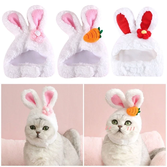 Cappuccio Animale Copricapo Coniglio Cappello Drag Animale Animale Coniglio Orecchio Gatto Copricapo Cane Copricapo