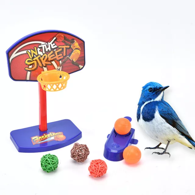 Pet Bird Chew Toys Parakeet Parrot Basketball Hoop Prop Trick Prop Balls-DC