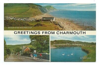 Dorset Charmouth Hill River Char Salmon Cameracolour Multiview Postcard c.1960's