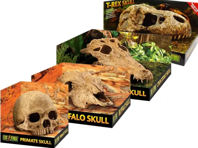 Exo Terra Skulls Terrarium Dekoration Skelettkopf