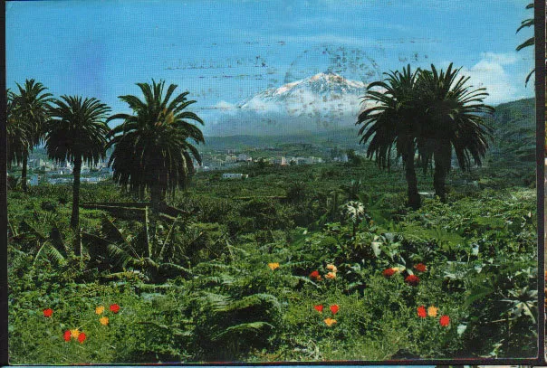 Postal De Icod Teide Tenerife Islas Canarias Postcard Postkarte          Cc02076