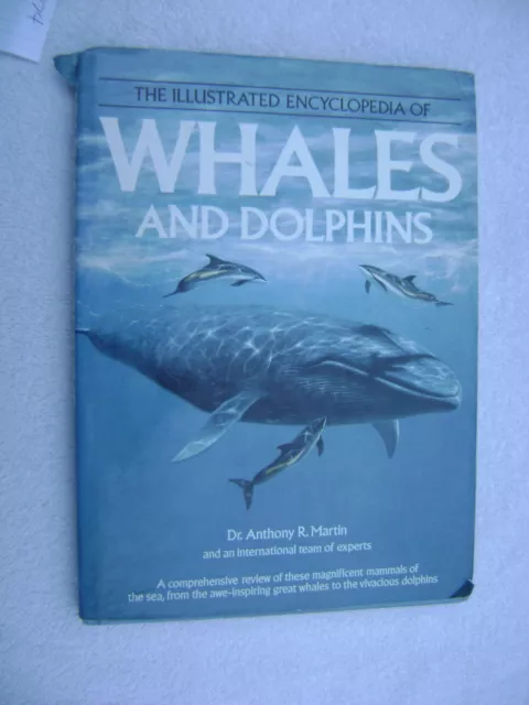 Whales And Dolphins Book Maritime Nautical Marine (#074)