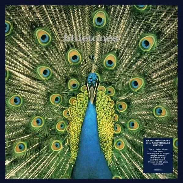 The Bluetones - Expecting To Fly (Black Vinyl)   Vinyl Lp Neuf