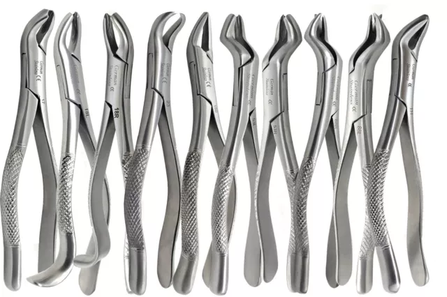 10 Pcs Dental Extraction Extracting Forceps  Stainless Steel Ce Instruments