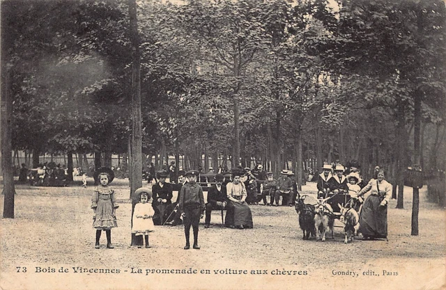 CPA Dept 94 Val de Marne - Bois de Vincennes la Promenade en Carito aux Goats