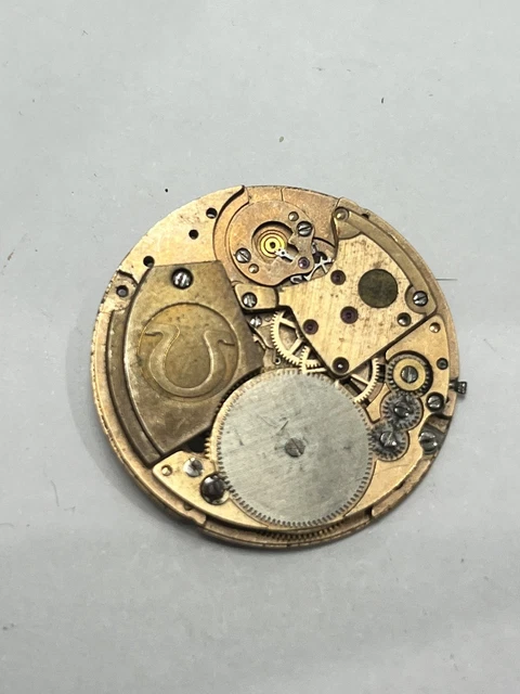 Lot De Montres Exelar Et Maty Solartime Non Testées – à Restaurer Ou Pour Pièces
