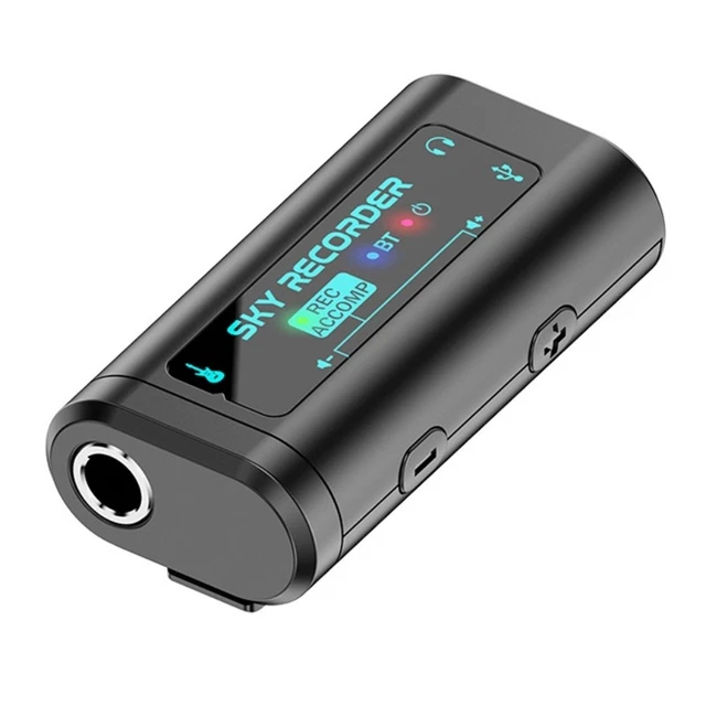 PROFESSIONAL MUSICAL INSTRUMENT Recorder Digital Voice Recorder Music ...