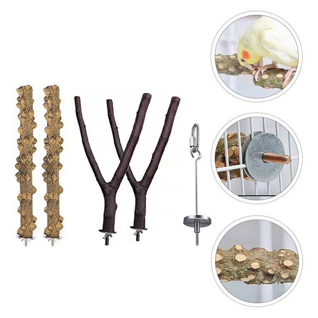 DONGKER 2er Set Papageien-Futterspender – Edelstahl, 25 Cm, Für Vögel & Kleintiere