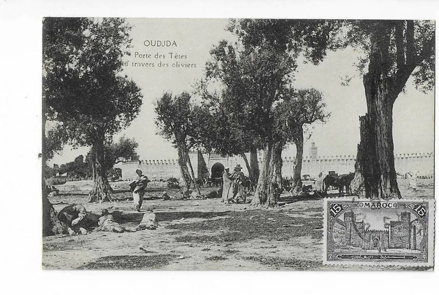Maroc  Oudjda  Porte Des Tetes Vue Du Travers Des Oliviers