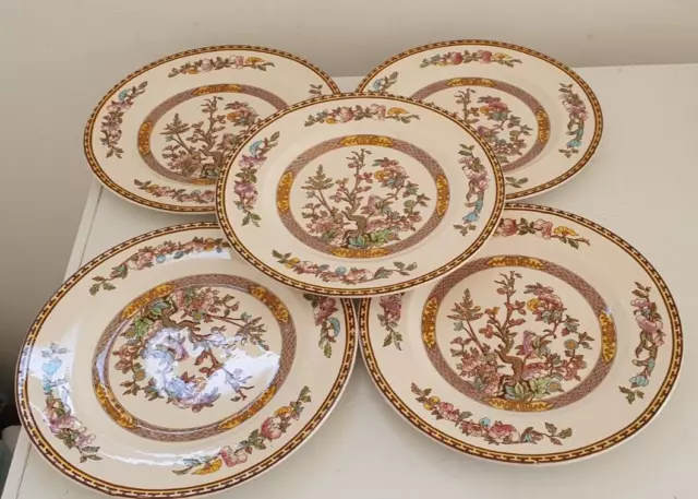 5 Johnson Bros Washington Indian Tree Dinner Plates  9.3/4 Inches Round