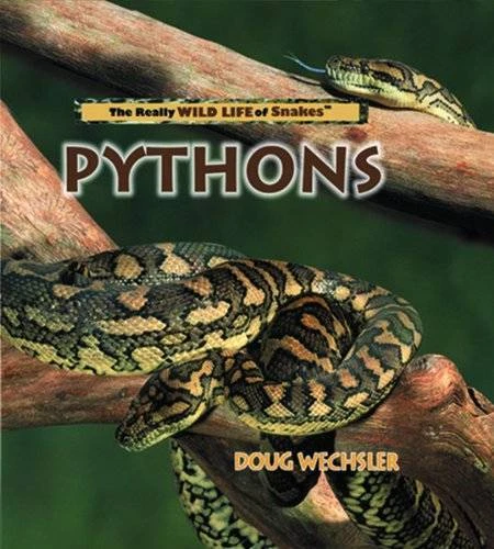 PYTHONS (REALLY WILD Life of Snakes) - Library Binding By Wechsler ...