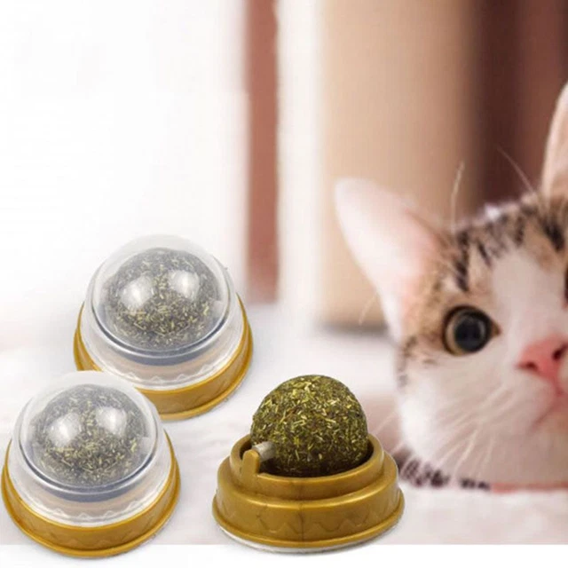 Rotatif Comestible Chat Jouets Boules de cataire Interactif Menthe Chat Rotatif