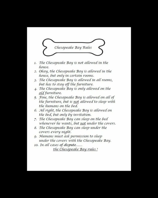 * Chesapeake Bay Retriever "Rules" - CUSTOM MATTED - Dog Art Print : GIFT