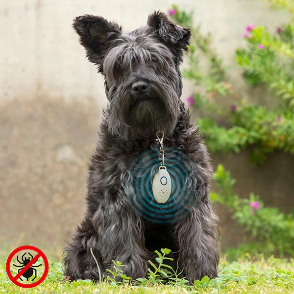 Antiparásitos ultrasónico para mascotas | recargable | sin sustancias químicas