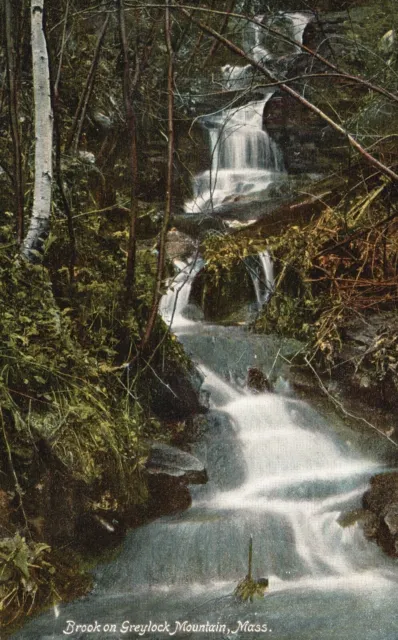 Vintage Postcard Brook on Greylock Mountain Massachusetts Hugh C. Leighton Pub.