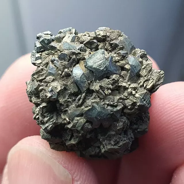 ★☆ MARCASSITE du Cap Blanc Nez, Pas-de-Calais, France - 2.5 cm ☆★