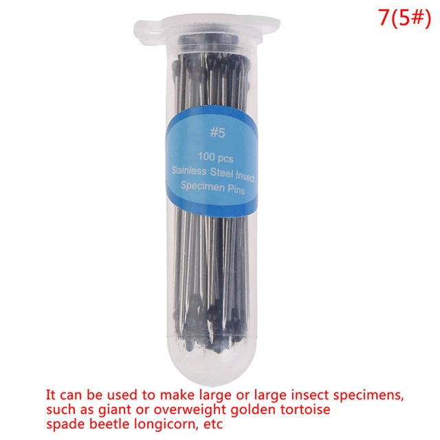 100 pz perni per insetti campione ago acciaio inox per entomologia laboratorio scolastico
