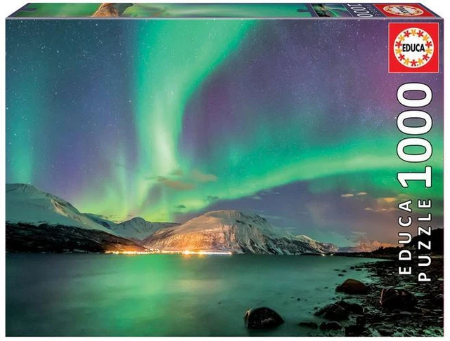 Educa - Polarlicht 1000 Teile Puzzle Educa