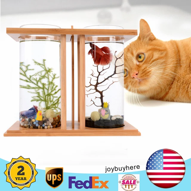 Mini Glass Betta Fish Tank Bamboo Base Desktop Aquarium Goldfish Tank Decor NEW