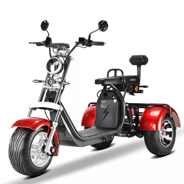 family trike bike