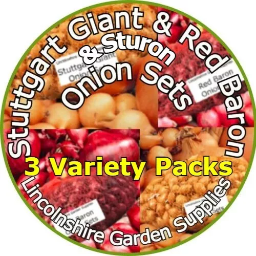 Onion Sets Spring Planting STUTTGART GIANT & STURON & RED BARON . Mixed  Packs