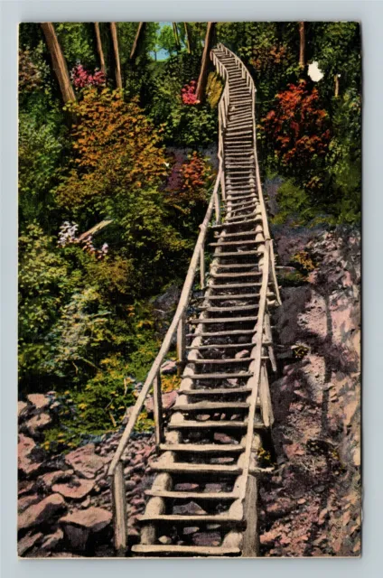 Miners Falls MI-Michigan, Log Ladder, Vintage Postcard