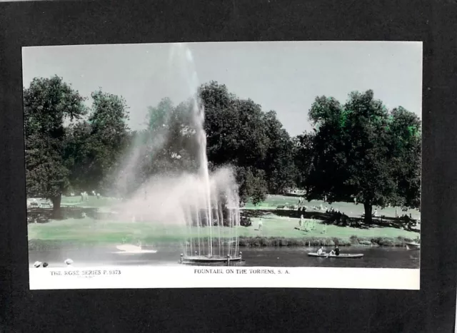B5122 Australia SA Adelaide River Torrens Fountain Rose vintage postcard