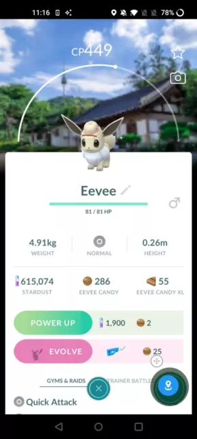 Pokémon Go * Shiny Pikachu Flying with Balloon - Male or Female * TRADE Go