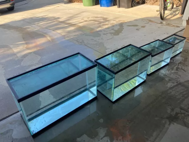 3 Fish aquariums tanks along with Misc. supplies for your hobby - Lot