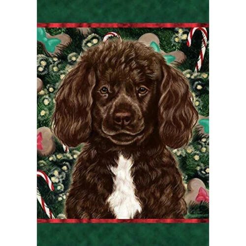 Christmas Holiday Garden Flag - Brown and White Portuguese Water Dog 149141