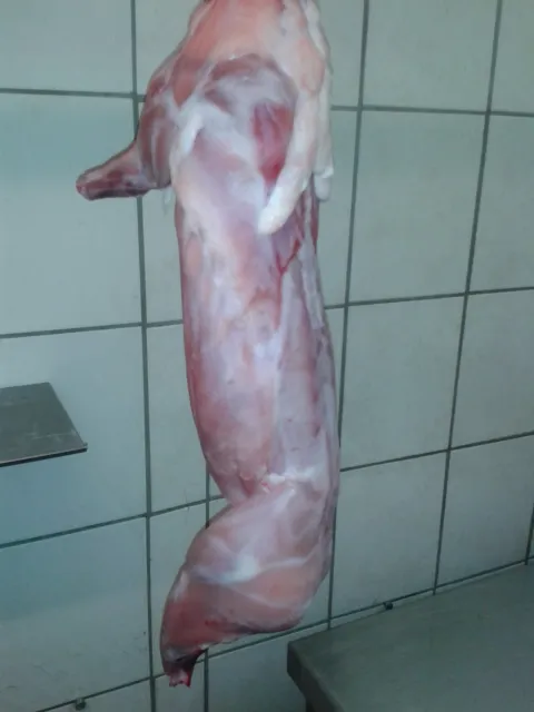 Großes Kaninchen küchenfertig 2,7 kg(+/-100g) Sehr fleischig und saftig Nur 35 €