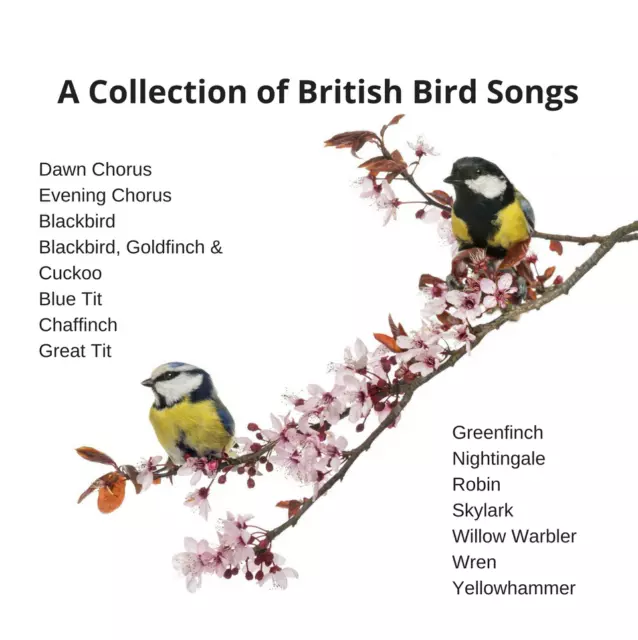 British Birdsong CD Individual Birds+Groups BRING THE OUTSIDE INSIDE @1/2 PRICE
