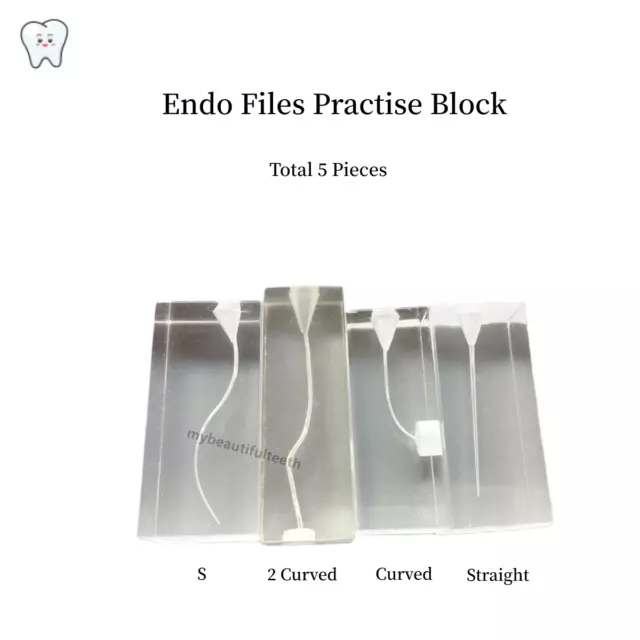 5Pieces Dental Endodontic Root Canal Study Model Rotary Files Practise Block