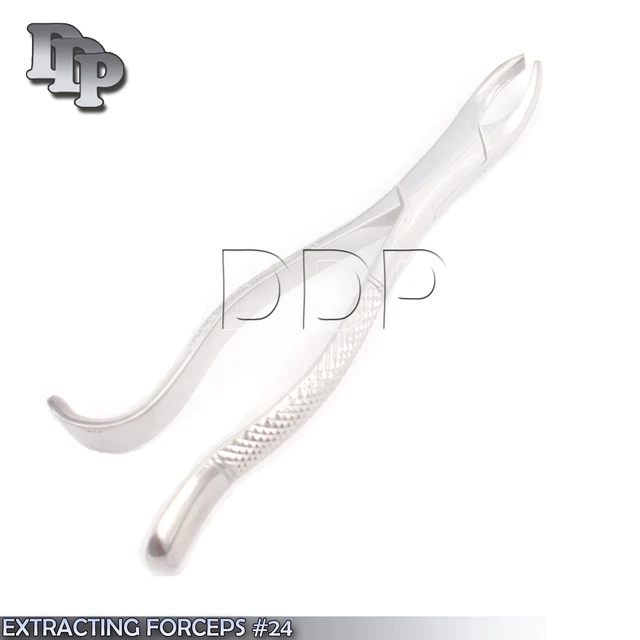 German Extracting Forceps # 24 Dental Surgical Instruments Extraction Forceps