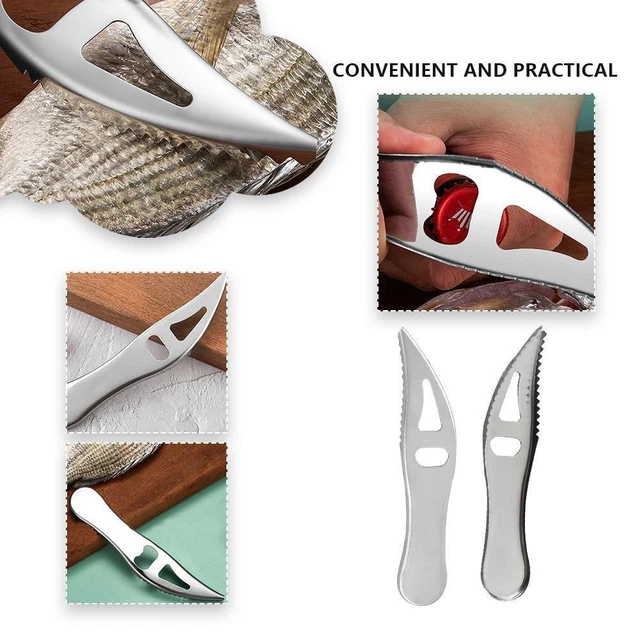 1 PC FISH Scale Remover Stainless Steel Scaler Cleaner Home Kitchen