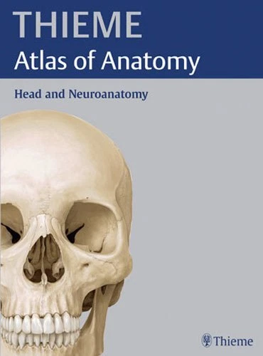 HEAD AND NEUROANATOMY (THIEME ATLAS OF ANATOMY) (THIEME By Michael