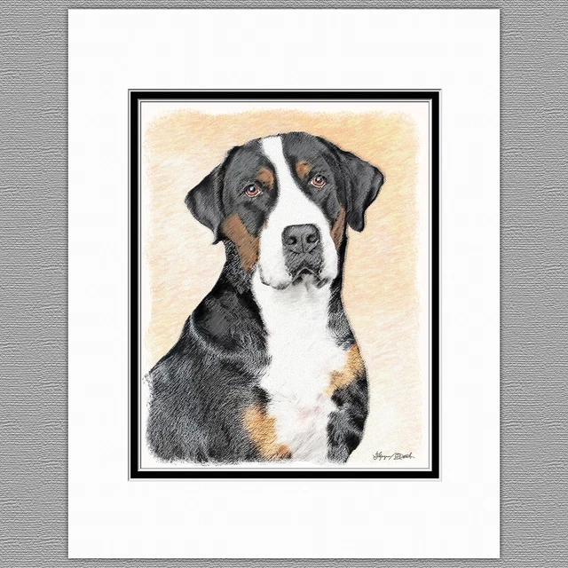 Greater Swiss Mountain Dog Original Art Print 8x10 Matted to 11x14