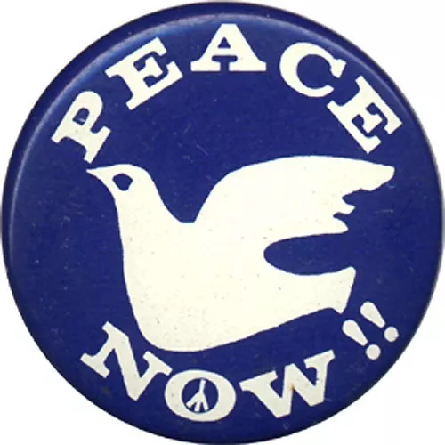 Classic 1960s Vietnam PEACE NOW !! War Protest Button (4448)