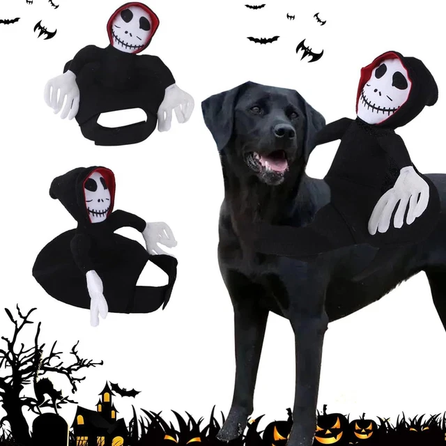 HBSFBH Costumi divertente Halloween per Animali Domestici, Cani, gatto,...