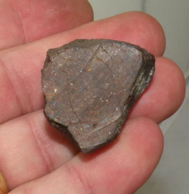 Talon Meteorit Jiddat Al Harasis / Jah Nicht Cleared (39.45 Grs - 020