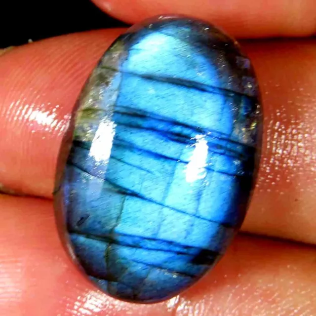 22.50Cts.100%Natural Super Blue Labradorite Oval Cabochon 15x23x7mm Top Gemstone