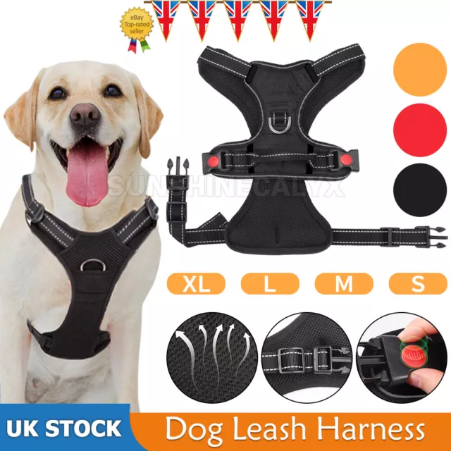 Adjustable Dog Harness Puppy Pet Dogs Vest Car Running Small Medium Large UK