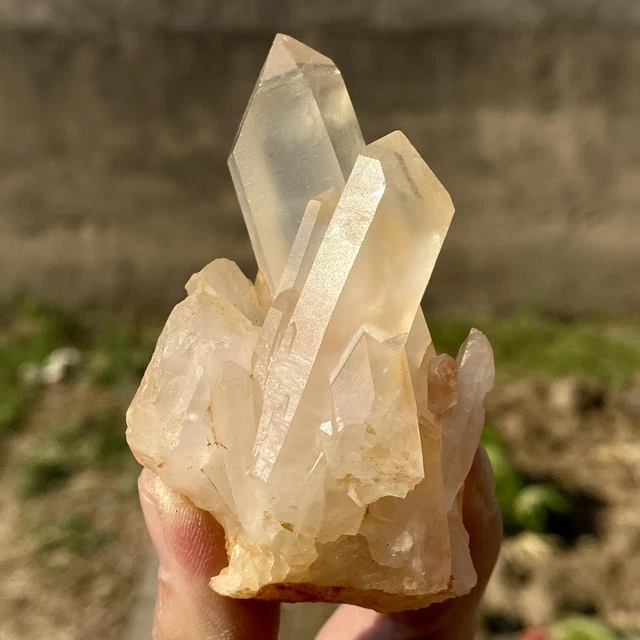90G Natural Citrine cluster mineral specimen quartz crystal healing.