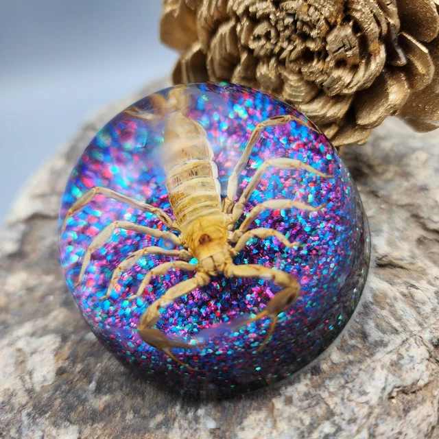 Scorpion Taxidermy Paperweight 2" Goth Cmas Purple Blue Glitter Creepy v9