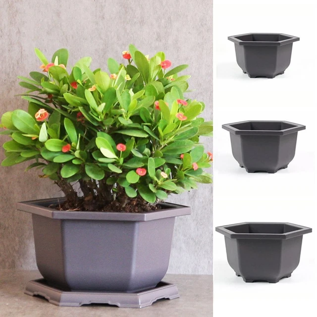 Accueil Pot de Plante Planteur Pots de fleurs d'hexagone Boîte succulente