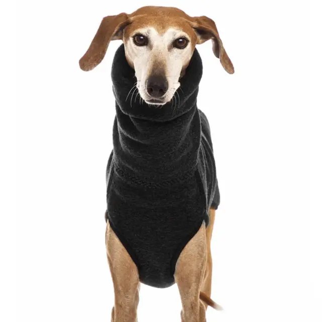 Winter Warm Dog Coat High Collar Pet Clothes For Large 5Q8K Jumpsuit S-5XL S0J3