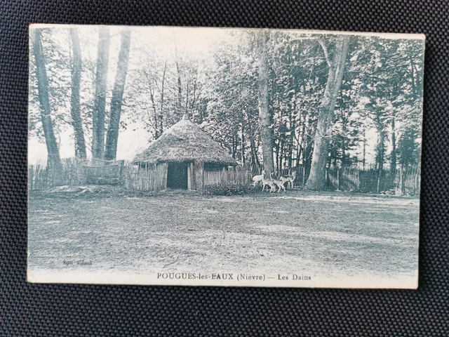 CPA 58 POUGUES-LES-EAUX - Les Dains