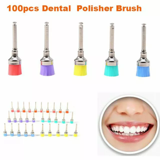 100pcs/pack Mixed Color Nylon Latch Flat Dental Polishing Polisher Prophy Brush
